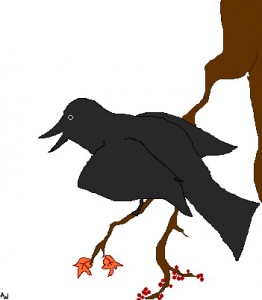 crowabout