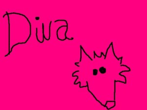 divadog