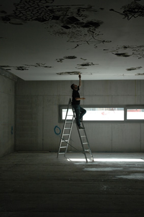 Oliver - Artist at work Symphonie - Ceiling Cook & Book Brussels, Belgium 2006