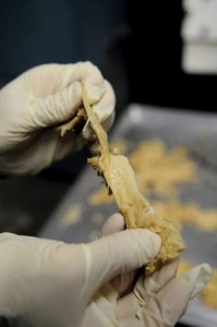 soychicken