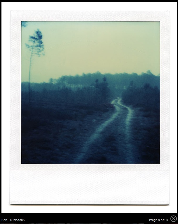 path_BertTeunissen