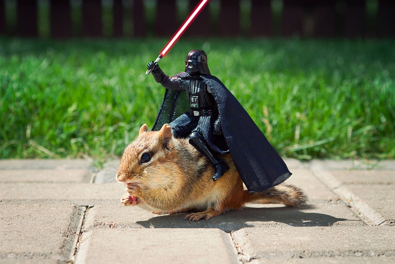 darth-vader-riding-a-chipmunk.jpg