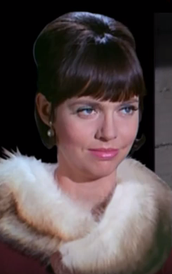 Image result for agent 99 get smart