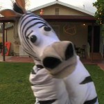 close up of costume zebra head
