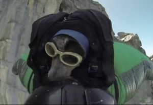 Base jumping dog