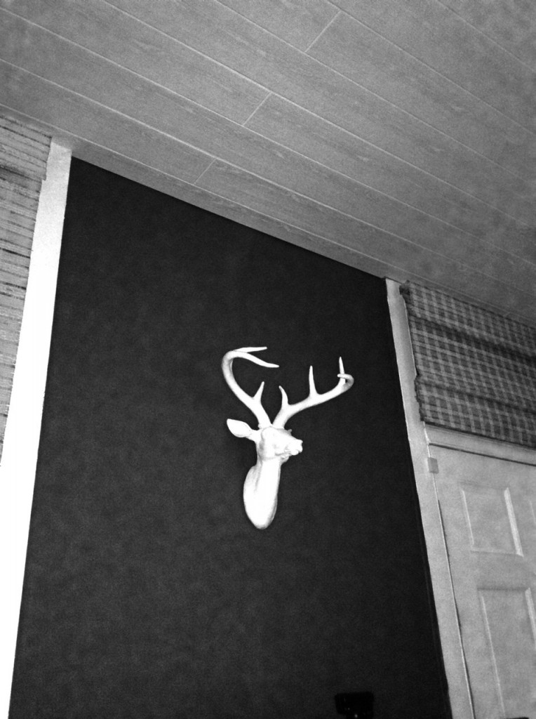 White ceramic deer head on dark wall