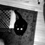 Blurry black and white picture of a black cat with glowing eyes