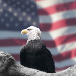 Eagle in front of American glag