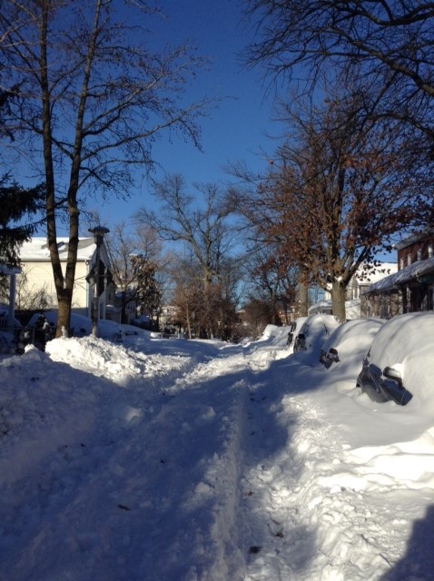 Historic Baltimore Blizzards: Jan. 2016: Snowy Homestead St. Baltimore, MD